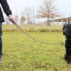 Hundeleine Leder 1m braun-schwarz mit Hund