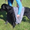 Hundenhandtuch im Gebrauch 1