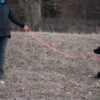 Hundeleine große Hunde reflektierend orange 2m 3-fach verstellbar ganze Länge