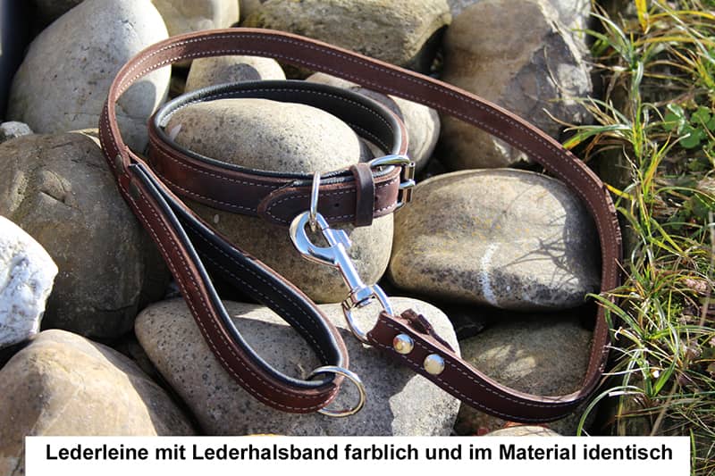 Leder Hundehalsband verstellbar braun-schwarz auf Steinen