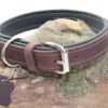Leder Hundehalsband verstellbar braun-schwarz Detail 2