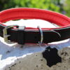 Leder Hundehalsband verstellbar schwarz-rot auf Stein