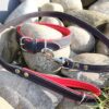 Leder Hundehalsband verstellbar schwarz-rot mit zugehöriger Lederleine 2