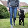 Trainingsleine Leder 1m in Aktion
