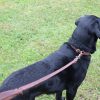 Trainingsleine Leder 1m Detail