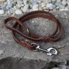 Schauleine Leder 1m