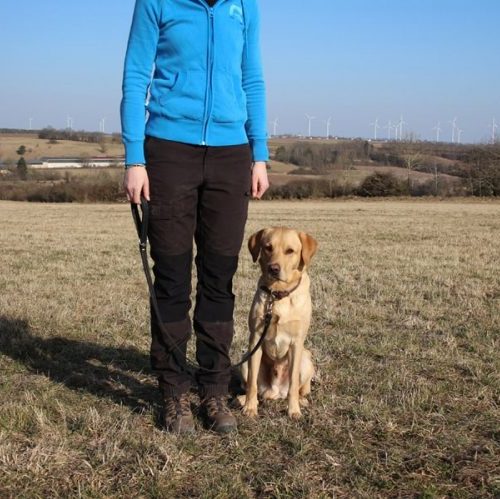 Hundeleine große Hunde Leder 1m schwarz mit Hund 2