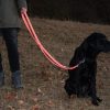Hundeleine große Hunde reflektierend 2m 3-fach verstellbar