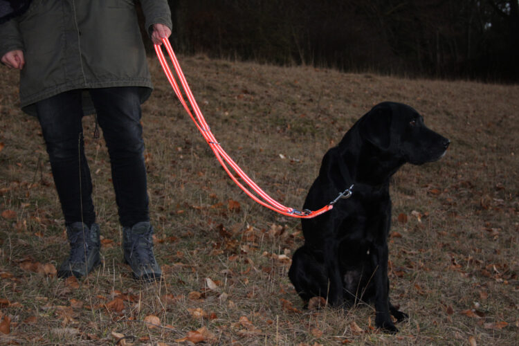 Hundeleine große Hunde reflektierend 2m 3-fach verstellbar