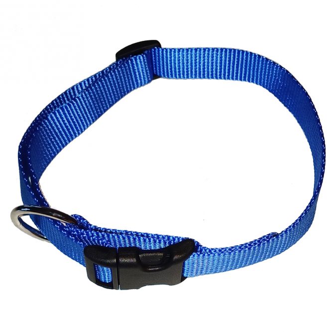 Nylon-Hundehalsband stufenlos verstellbar blau 38cm bis 55 cm Hauptbild