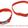 Nylon-Hundehalsband reflektierend stufenlos verstellbar 38cm bis 55 cm Grüßen kleinund groß
