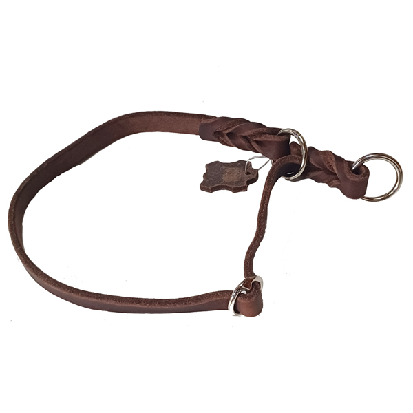 Hundeleine grosse Hunde Hauptbild Zughalsband